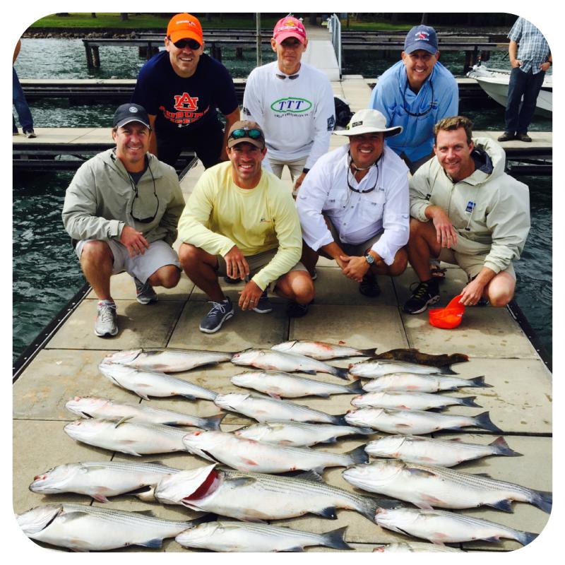 Clients of Got You Hooked Striped Bass Guide Service, Lake Martin. 